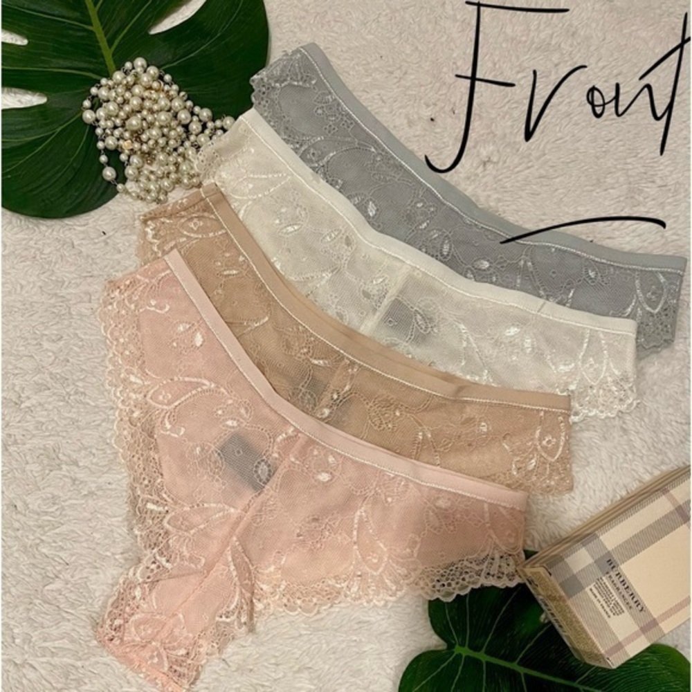 NWOT set of 4 Tonga lace panties beautiful blush, grey, ivory, nude!